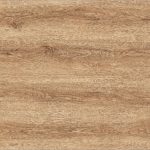 Elm